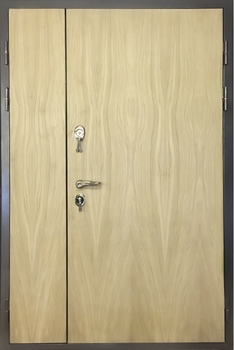 Дверь с МДФ наружная тамбурная офисная Дверь с МДФ наружная тамбурная офисная
